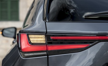 2021 Lexus NX 450h+ (Euro-Spec) Tail Light Wallpapers  450x275 (56)