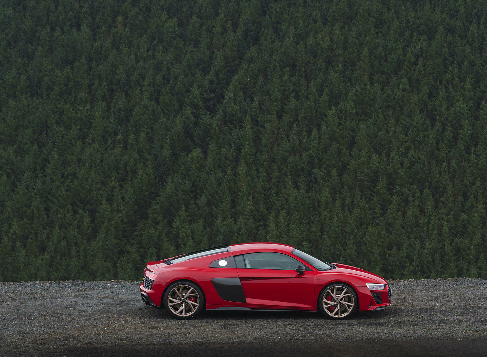 2022 Audi R8 Coupe V10 Performance RWD (UK-Spec) Side Wallpapers #90 of 163