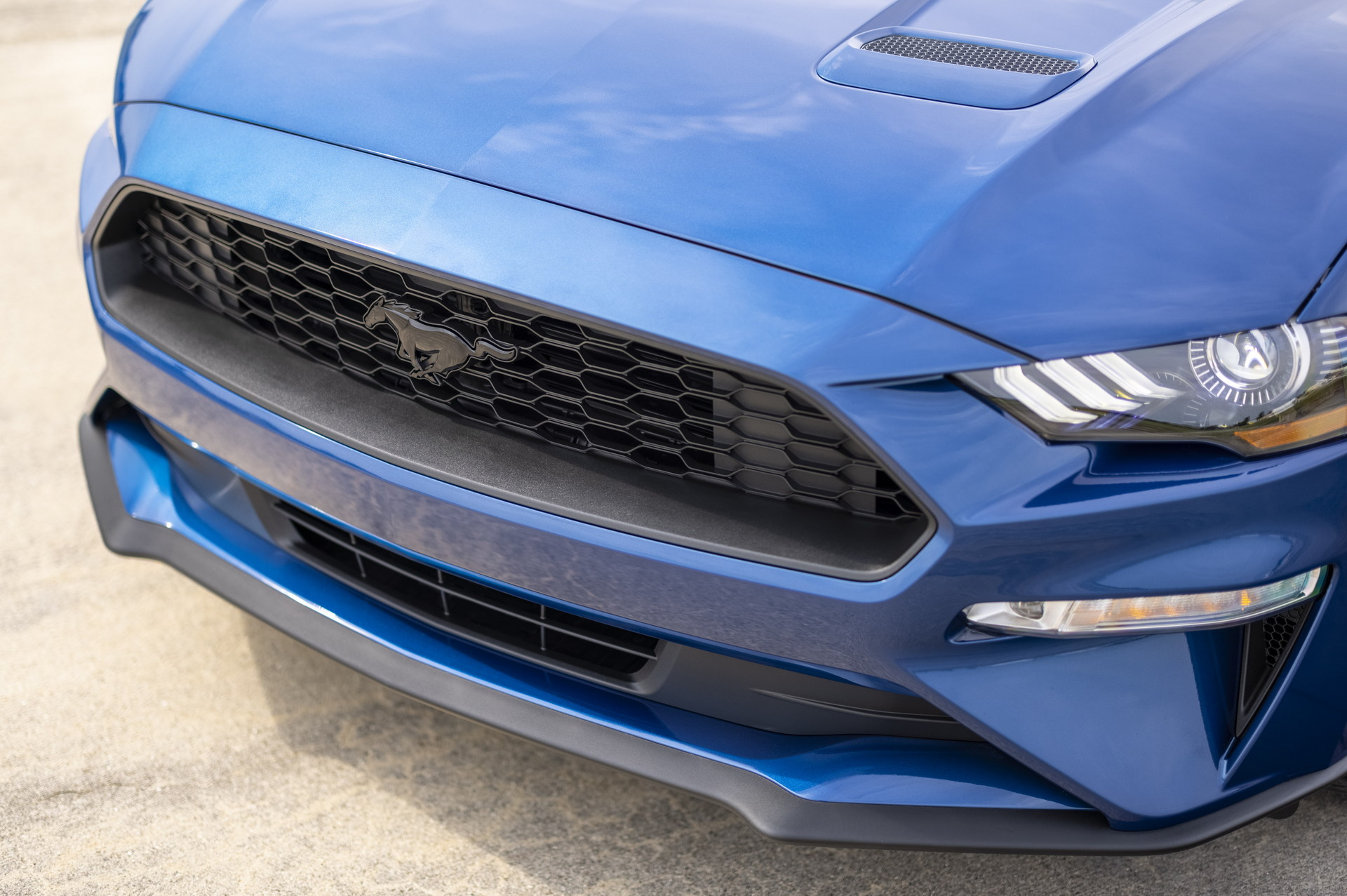 2022 Ford Mustang GT Stealth Edition Grille Wallpapers #5 of 15