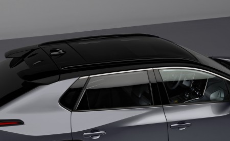 2023 Toyota bZ4X BEV Roof Wallpapers 450x275 (38)