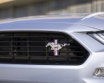 2022 Ford Mustang Coastal Limited Edition Grille Wallpapers 150x120 (9)