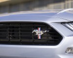 2022 Ford Mustang Coastal Limited Edition Grille Wallpapers 150x120