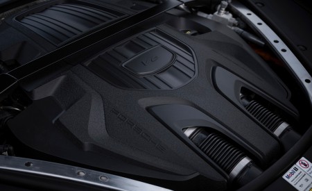 2022 Porsche Panamera 4 E-Hybrid Platinum Edition (Color: Jet Black Metallic) Engine Wallpapers 450x275 (30)