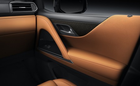 2022 Lexus LX 600 Interior Detail Wallpapers  450x275 (29)