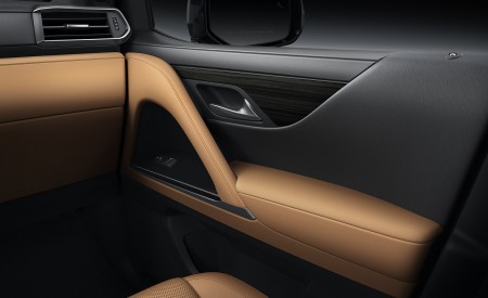 2022 Lexus LX 600 Interior Detail Wallpapers 450x275 (30)