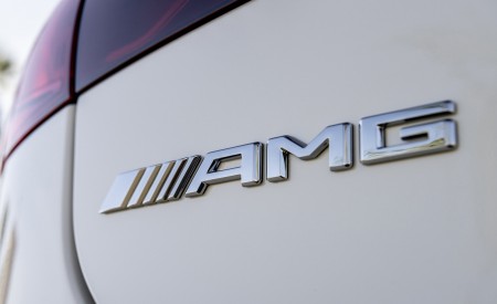 2022 Mercedes-AMG EQS 53 4MATIC+ (Color: Diamond White Bright) Badge Wallpapers 450x275 (69)