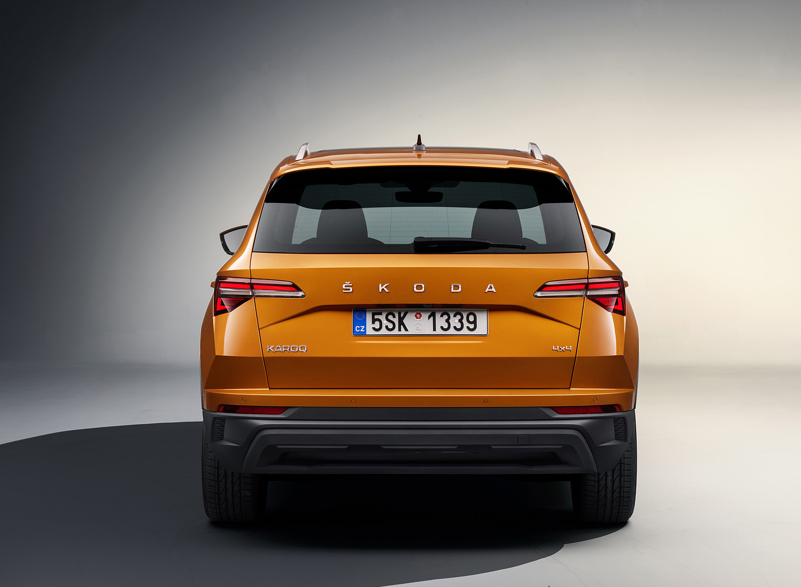 2022 Škoda Karoq Style Rear Wallpapers (10)