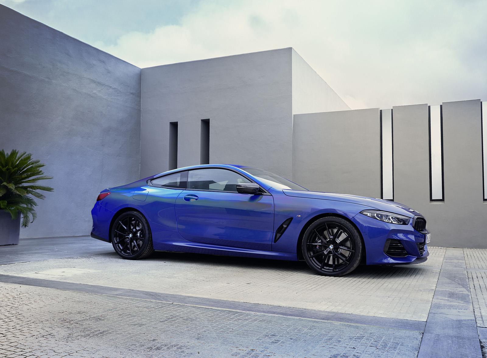 2023 BMW 8 Series Coupe Front Three-Quarter Wallpapers #14 of 21