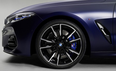 2023 BMW 8 Series Gran Coupe Wheel Wallpapers 450x275 (15)