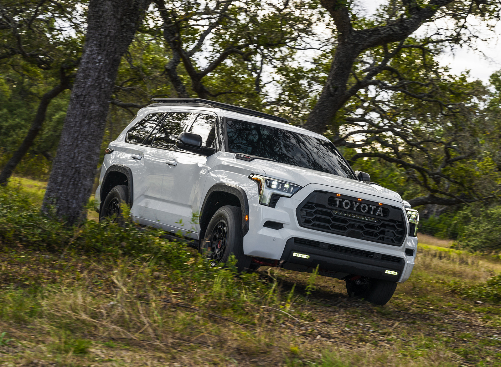 2023 Toyota Sequoia TRD Pro Front Three-Quarter Wallpapers (2)