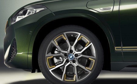 2022 BMW X2 GoldPlay Edition Wheel Wallpapers 450x275 (58)