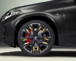 2022 BMW X2 GoldPlay Edition Wheel Wallpapers 150x120 (54)