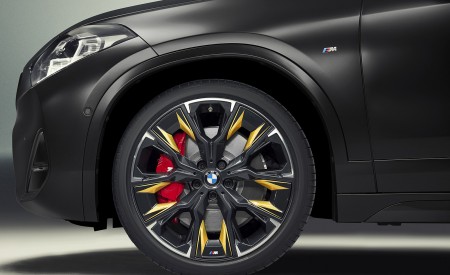 2022 BMW X2 GoldPlay Edition Wheel Wallpapers 450x275 (54)