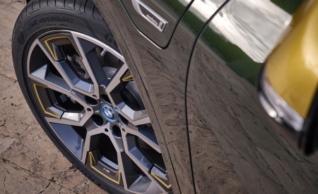 2022 BMW X2 GoldPlay Edition xDrive25e Detail Wallpapers  450x275 (35)