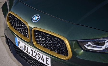 2022 BMW X2 GoldPlay Edition xDrive25e Grille Wallpapers  450x275 (29)