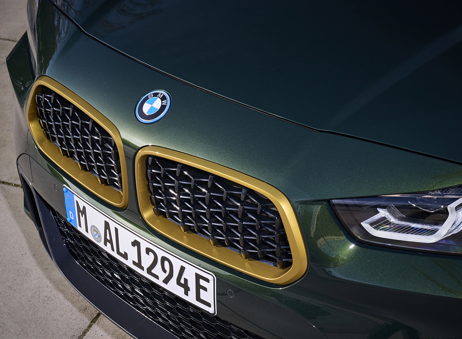 2022 BMW X2 GoldPlay Edition xDrive25e Grille Wallpapers  #29 of 65
