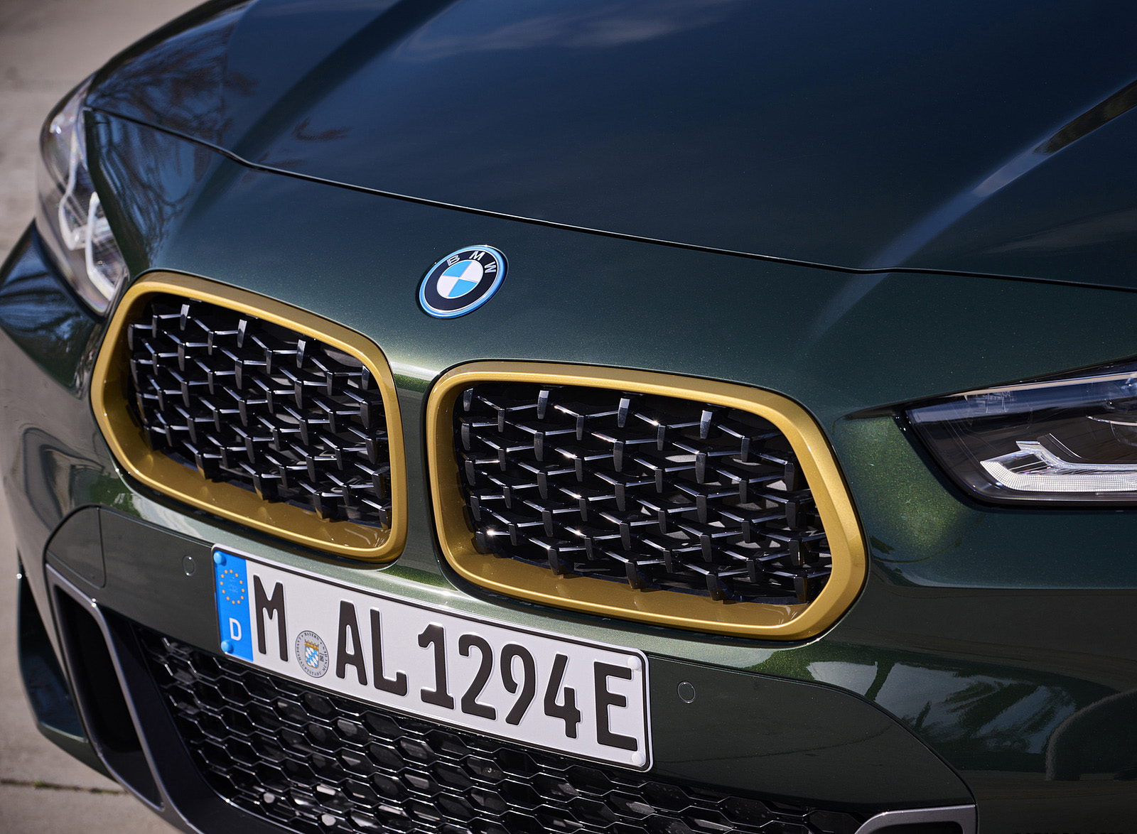 2022 BMW X2 GoldPlay Edition xDrive25e Grille Wallpapers #30 of 65