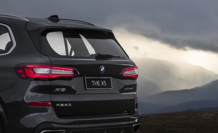 2022 BMW X5 xDrive 40Li Detail Wallpapers 450x275 (9)