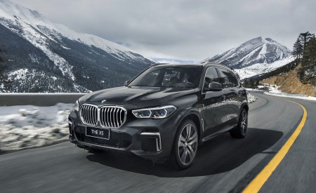 2022 BMW X5 xDrive 40Li Front Three-Quarter Wallpapers 450x275 (1)