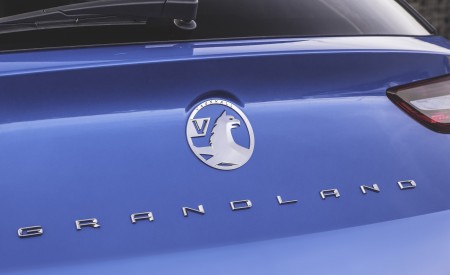 2022 Vauxhall Grandland Ultimate Badge Wallpapers 450x275 (78)