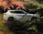 2023 Mazda CX-60 PHEV Side Wallpapers 150x120 (2)