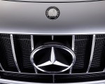 2023 Mercedes-AMG GT Track Series Badge Wallpapers 150x120 (5)