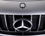 2023 Mercedes-AMG GT Track Series Badge Wallpapers 150x120 (5)