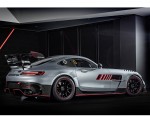 2023 Mercedes-AMG GT Track Series Rear Three-Quarter Wallpapers 150x120 (3)