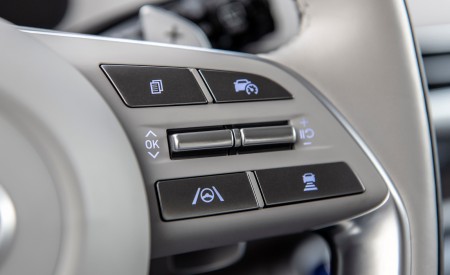 2023 Hyundai Palisade Interior Steering Wheel Wallpapers 450x275 (42)