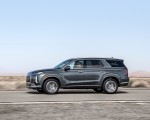 2023 Hyundai Palisade Side Wallpapers  150x120 (6)