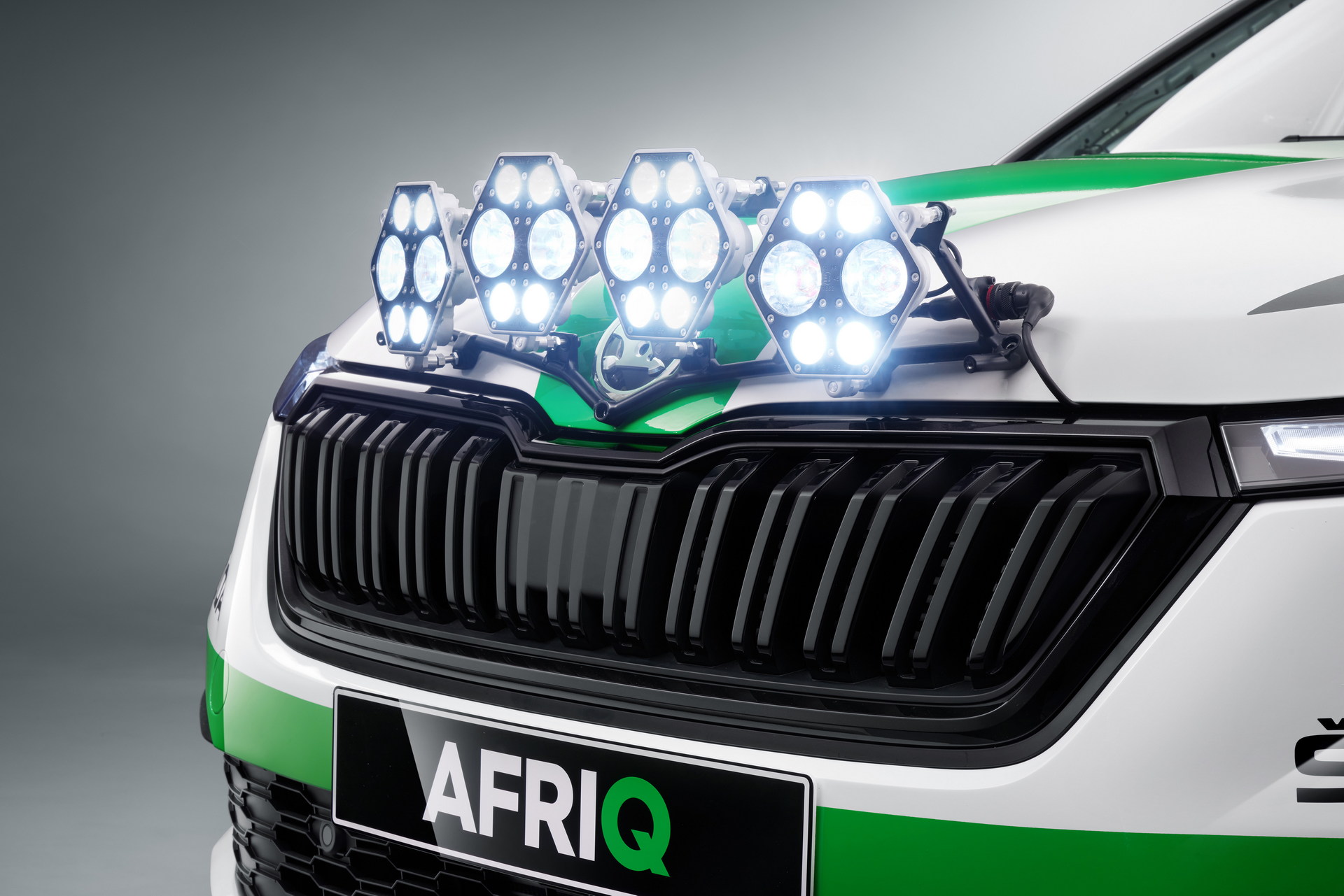 2022 Skoda Afriq Concept Grille Wallpapers #28 of 49