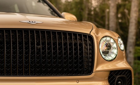 2023 Bentley Bentayga Extended Wheelbase Extroverted (Color: Camel) Grille Wallpapers 450x275 (93)