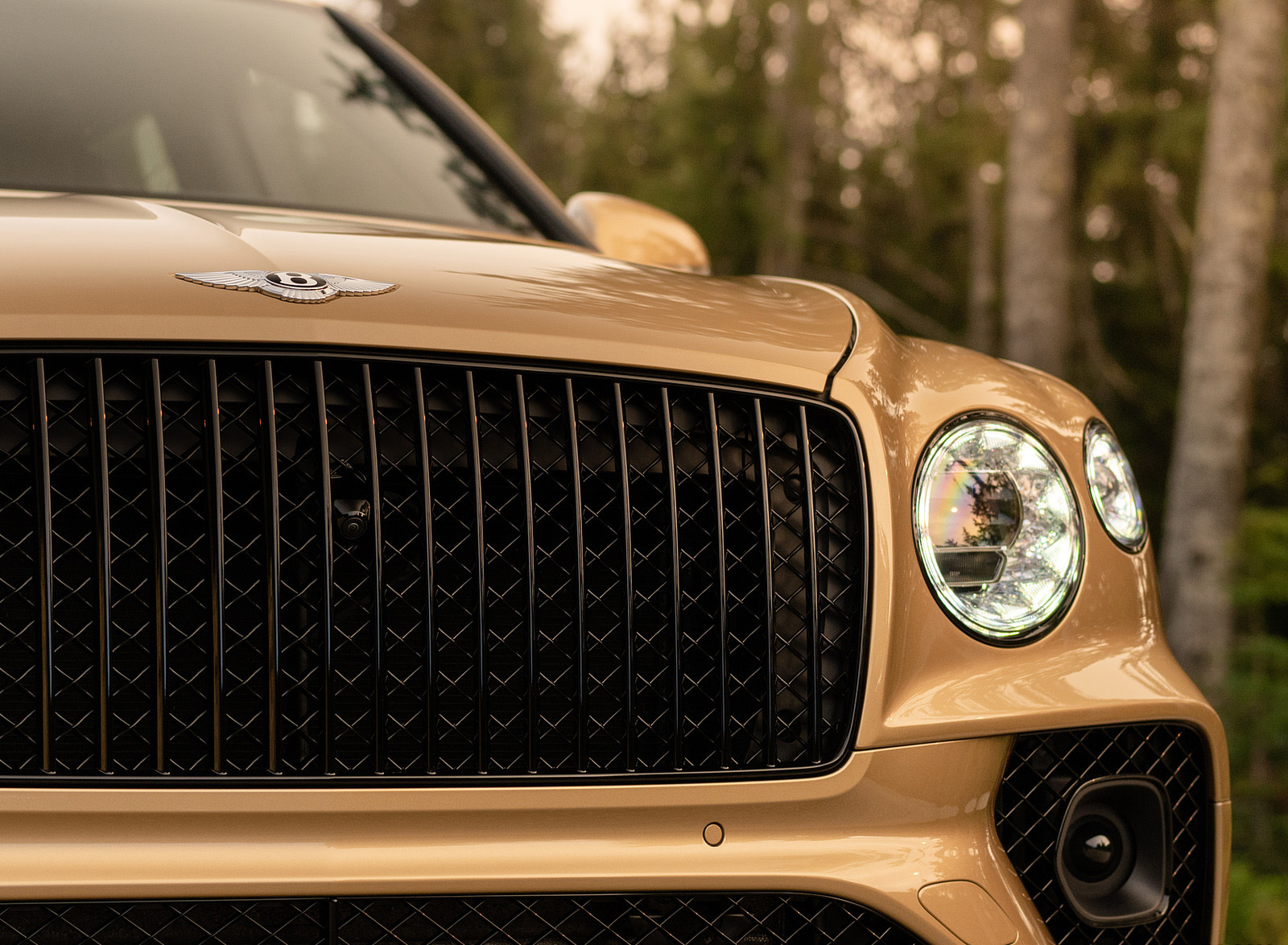 2023 Bentley Bentayga Extended Wheelbase Extroverted (Color: Camel) Grille Wallpapers #93 of 115