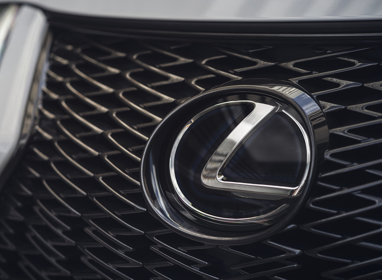 2023 Lexus UX 250h F Sport Grille Wallpapers #14 of 35