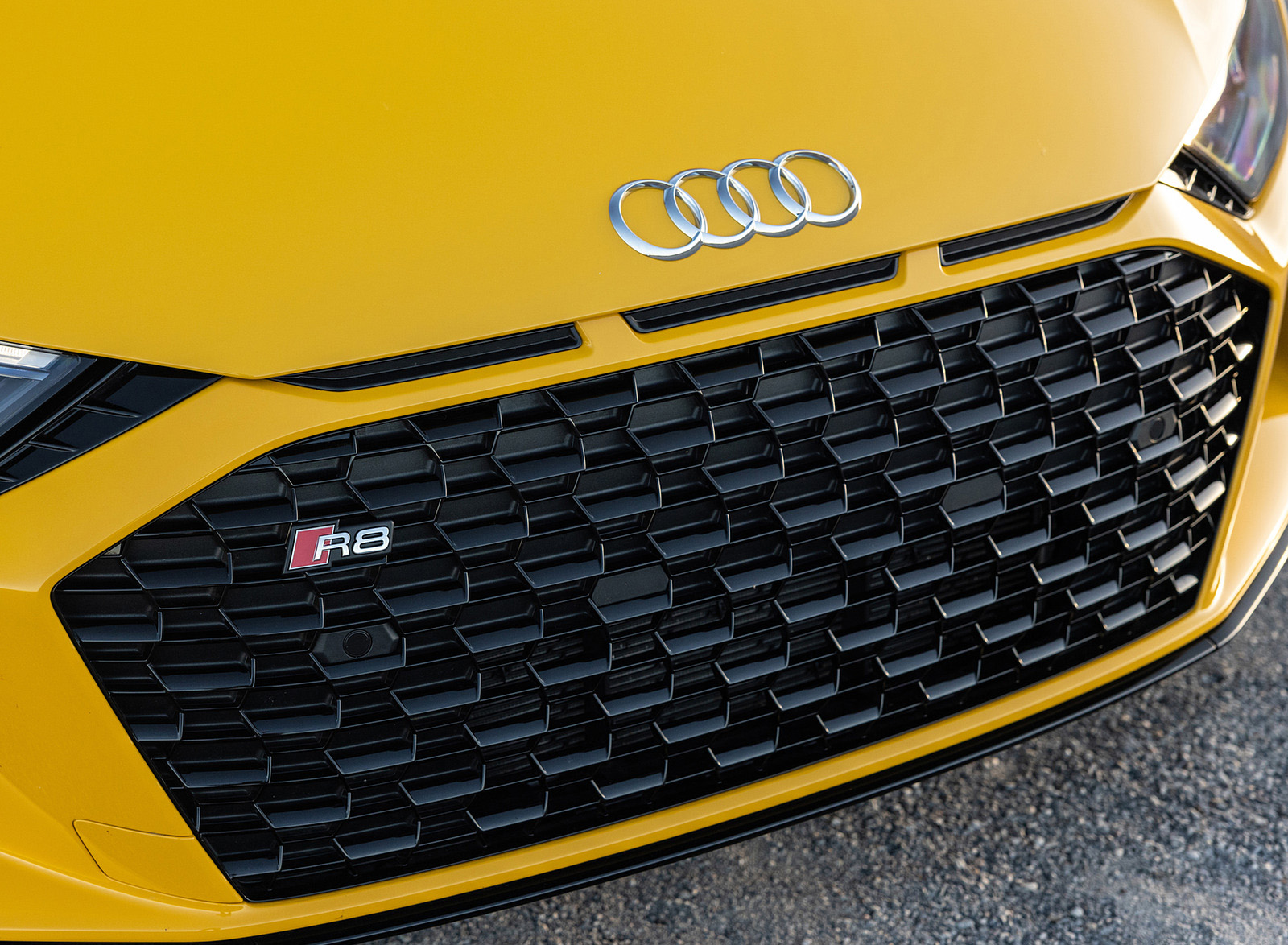 2022 Audi R8 Coupe (US-Spec) Grille Wallpapers #23 of 41
