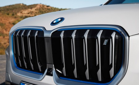 2023 BMW iX1 xDrive30 Grille Wallpapers 450x275 (44)