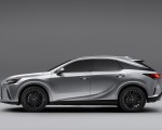 2023 Lexus RX 350 AWD Premium Side Wallpapers 150x120 (37)