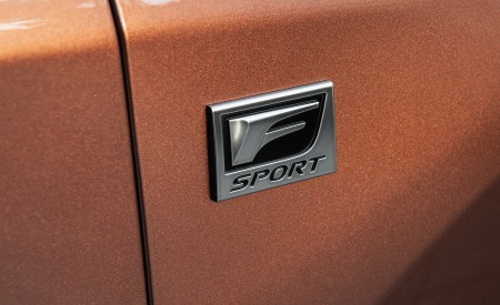 2023 Lexus RX 500h F SPORT DIRECT4 (Color: Sonic Copper) Badge Wallpapers 450x275 (56)