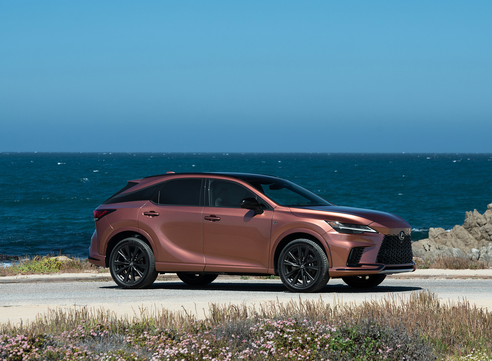2023 Lexus RX 500h F SPORT DIRECT4 (Color: Sonic Copper) Front Three-Quarter Wallpapers #45 of 66