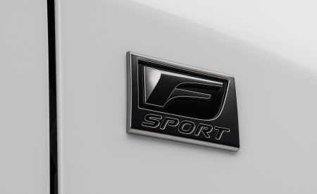 2023 Lexus RX 500h F SPORT Performance Badge Wallpapers 450x275 (12)