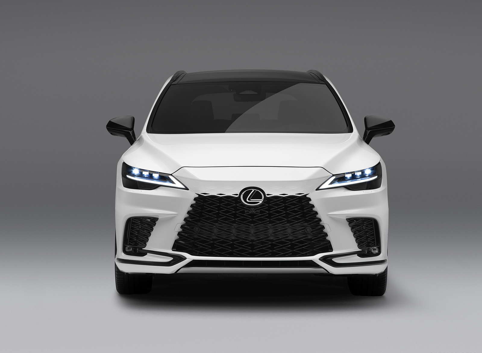 2023 Lexus RX 500h F SPORT Performance Front Wallpapers (4)