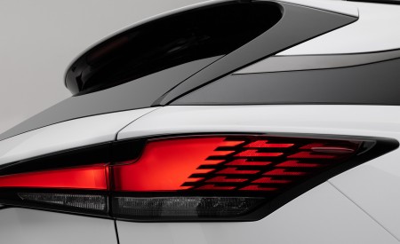 2023 Lexus RX 500h F SPORT Performance Tail Light Wallpapers 450x275 (13)