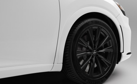 2023 Lexus RX 500h F SPORT Performance Wheel Wallpapers 450x275 (8)