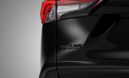 2023 Toyota RAV4 Hybrid Woodland Edition Detail Wallpapers 450x275 (6)