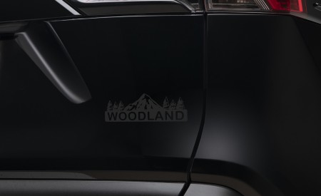 2023 Toyota RAV4 Hybrid Woodland Edition Detail Wallpapers 450x275 (7)