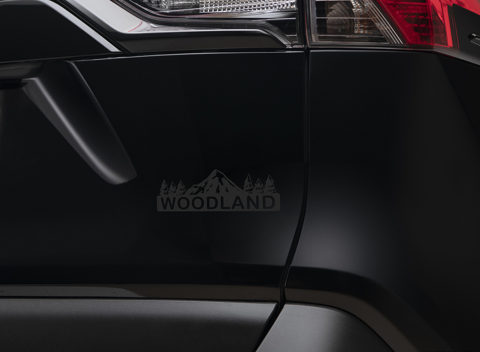 2023 Toyota RAV4 Hybrid Woodland Edition Detail Wallpapers (7)