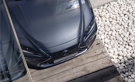 2023 Lexus ES (Euro-Spec) Detail Wallpapers 450x275 (19)