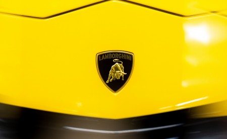 2023 Lamborghini Urus Performante Detail Wallpapers 450x275 (78)