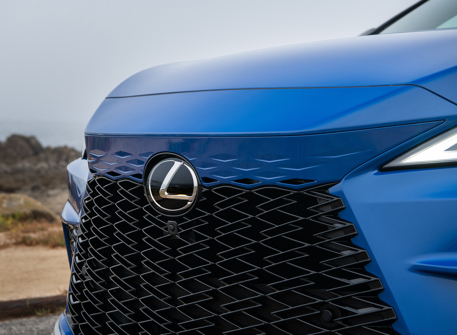 2023 Lexus RX 350 F SPORT AWD (Color: Heat Blue) Grille Wallpapers #18 of 27