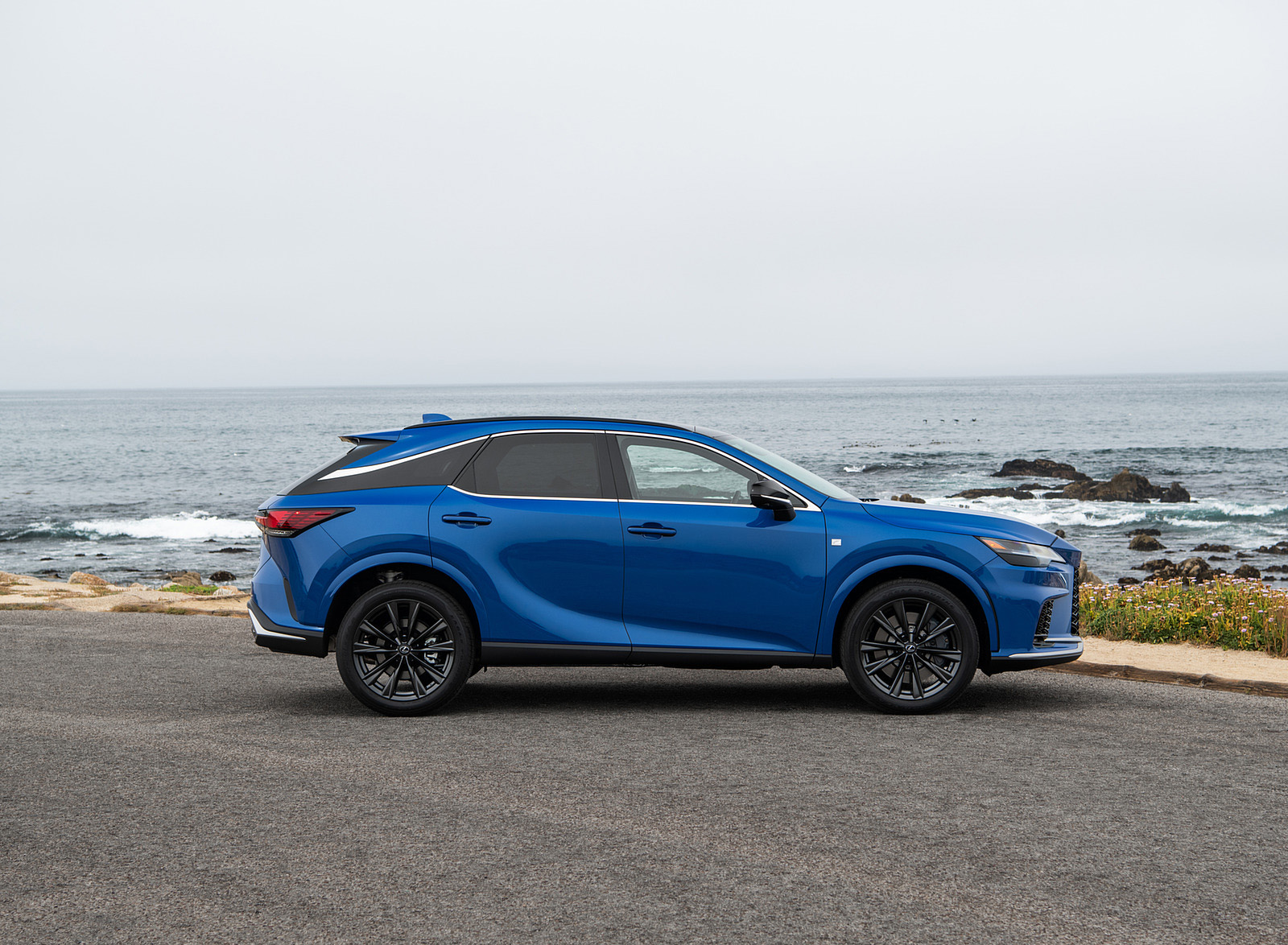2023 Lexus RX 350 F SPORT AWD (Color: Heat Blue) Side Wallpapers #14 of 27